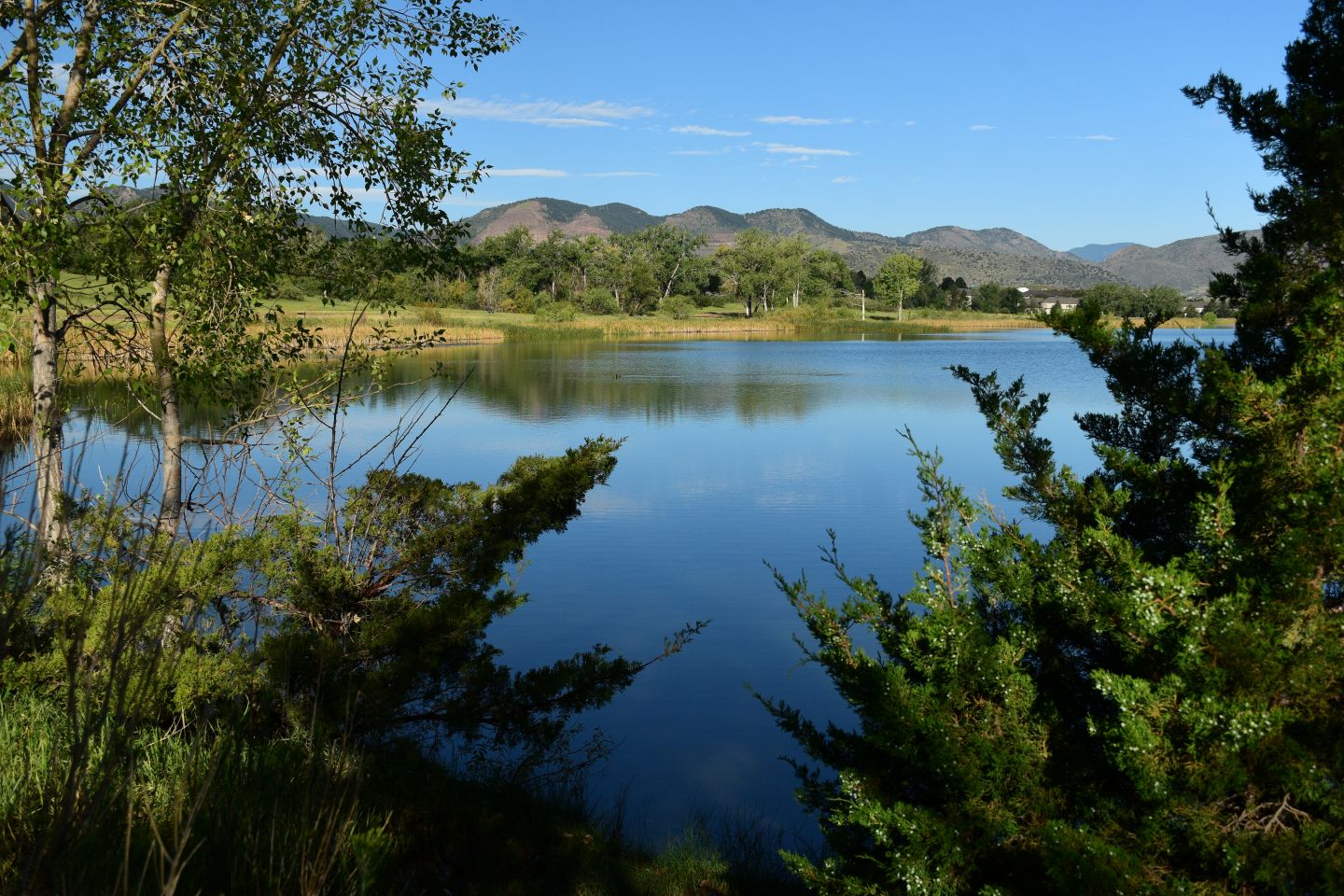 Psychiatrist in Littleton, CO