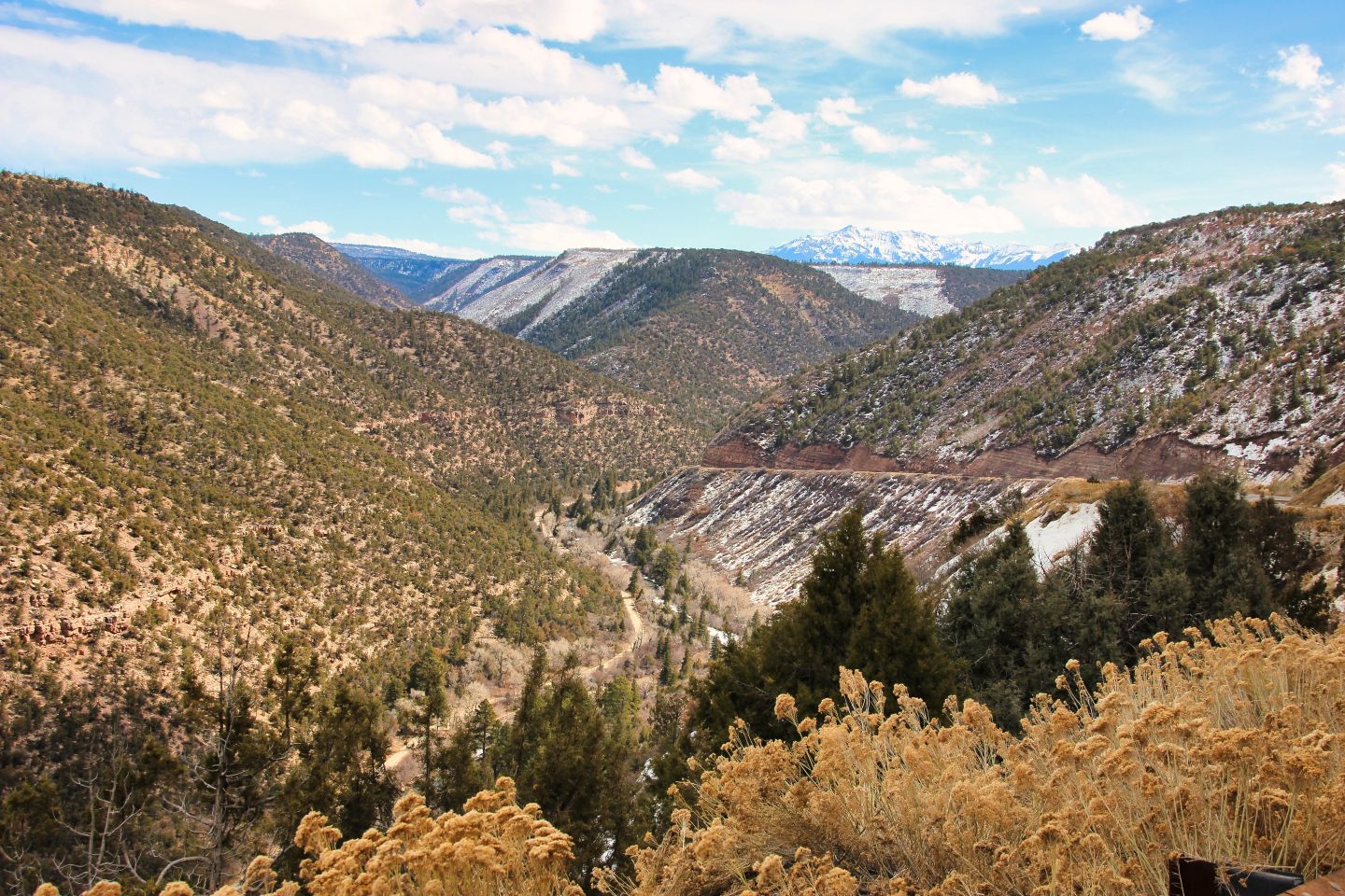 Psychiatry in Columbine Valley, CO